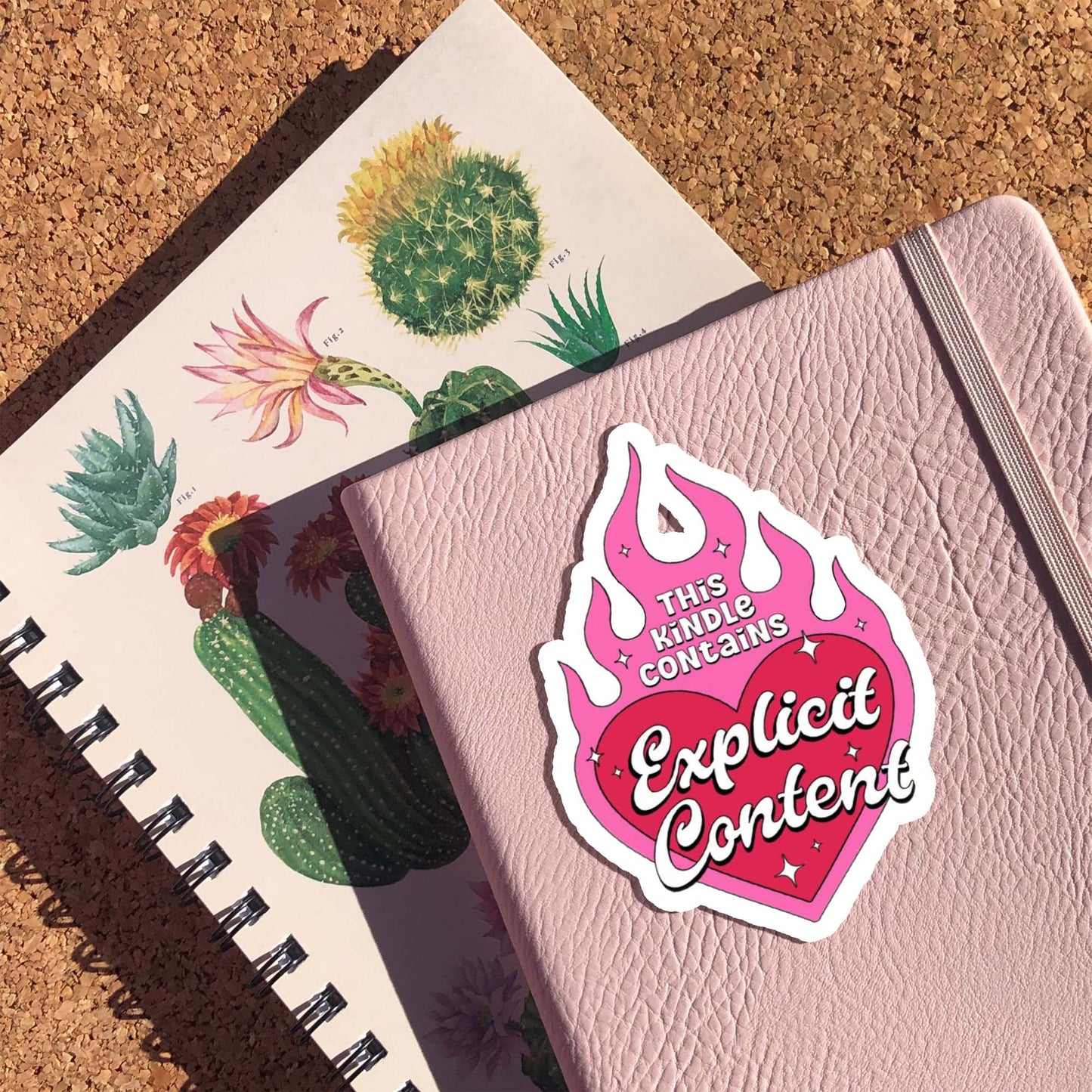 This Kindle Contains Explicit Content Sticker