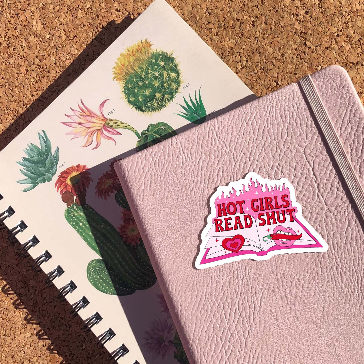 Hot Girls Read Smut Sticker